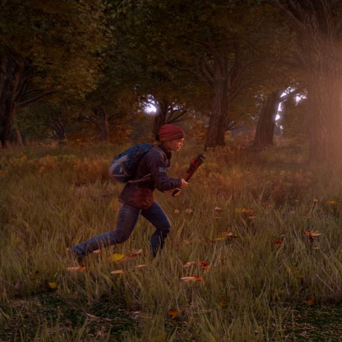 DayZ Standalone Cd Key EU Steam 